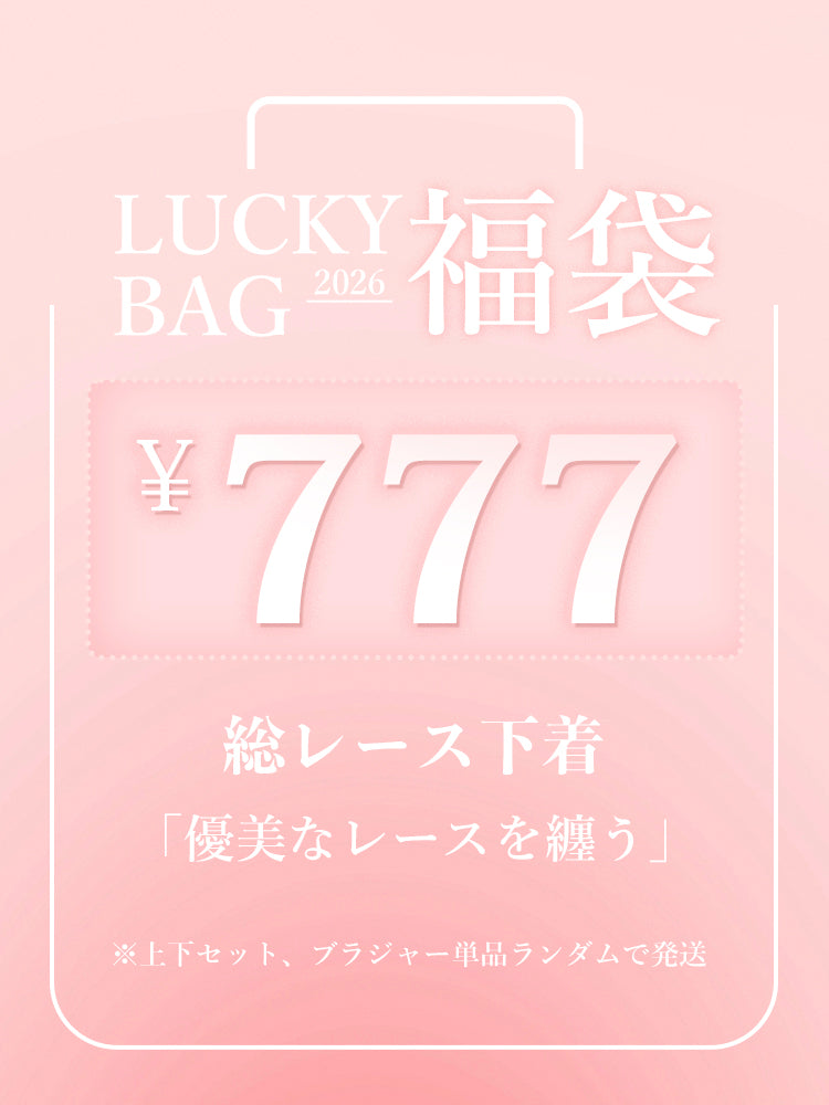【2026福袋】A-Eカップ展開 3種類選べる 上下セット、ブラジャー単品ランダムで発送