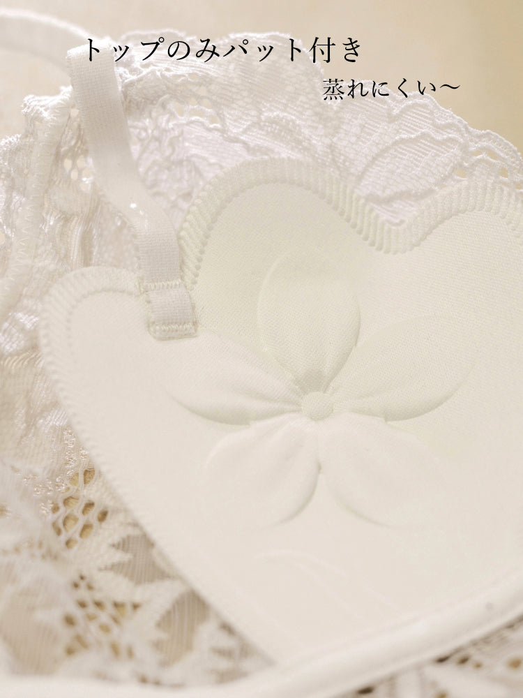 【ノンワイヤー】背中見世 総レース軽ブラ