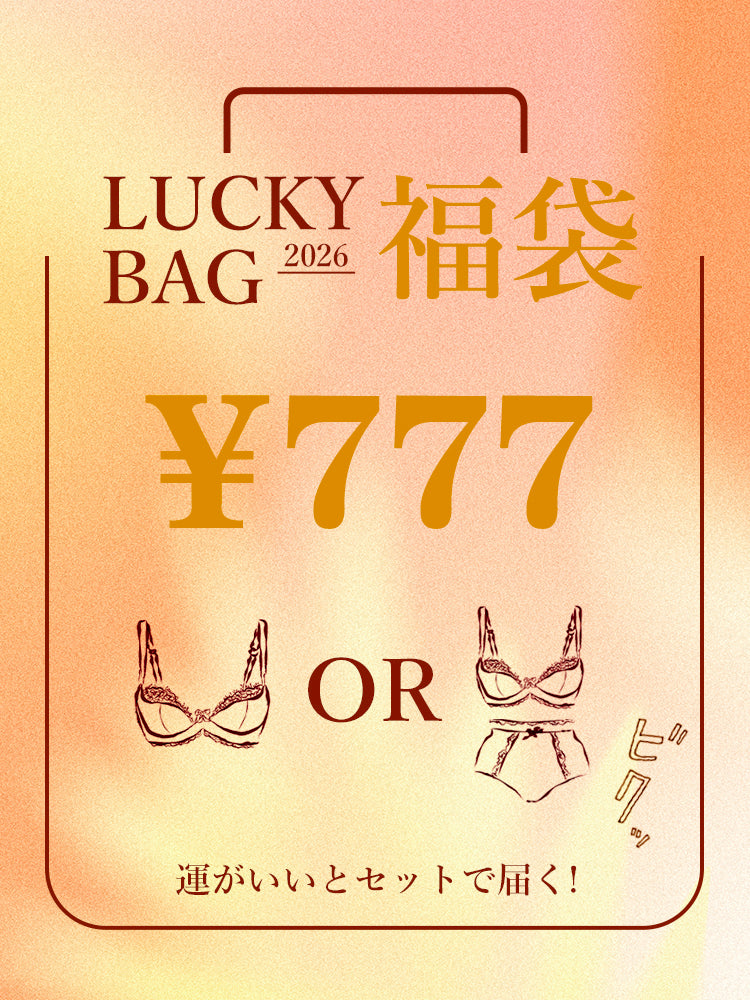 【2026福袋】A-Eカップ展開 3種類選べる 上下セット、ブラジャー単品ランダムで発送