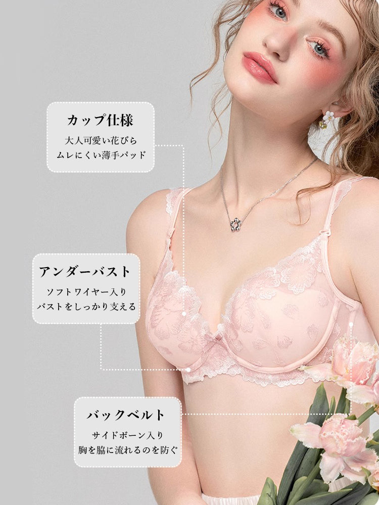 【ワイヤー入り】フリル肩紐 配色刺繍ブラジャー&ショーツ