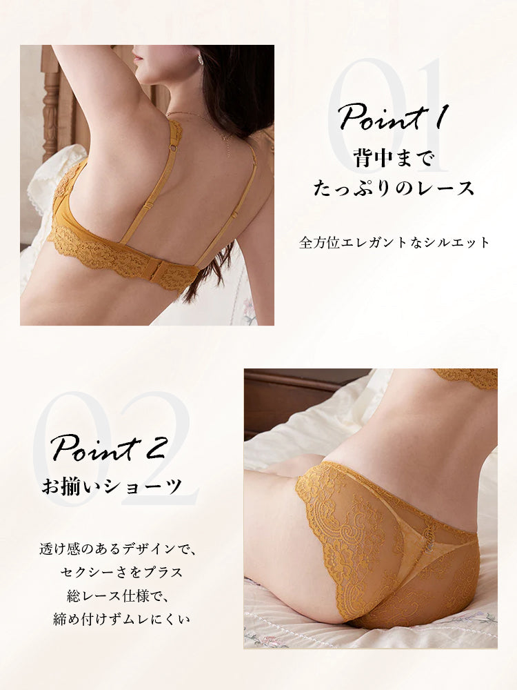 【ワイヤー入り】肩までレースブラ&ショーツ