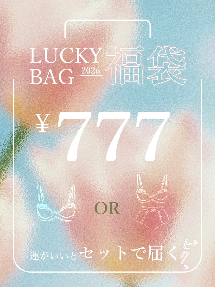 【2026福袋】A-Eカップ展開 3種類選べる 上下セット、ブラジャー単品ランダムで発送