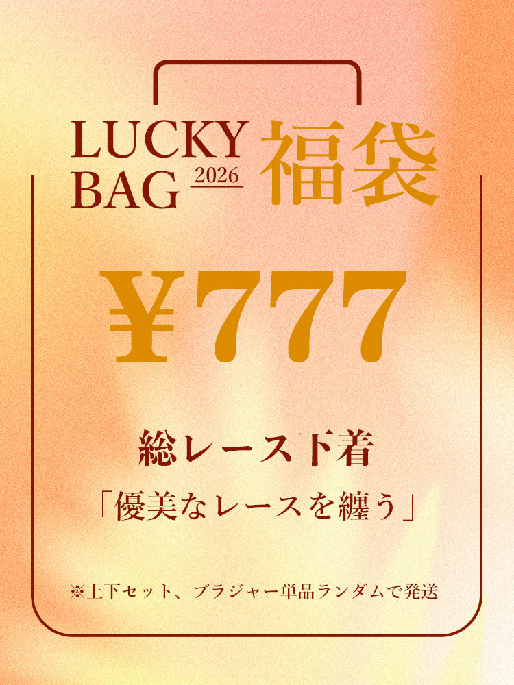 【2026福袋】A-Eカップ展開 3種類選べる 上下セット、ブラジャー単品ランダムで発送