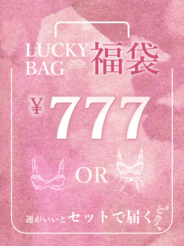 【2026福袋】A-Eカップ展開 3種類選べる 上下セット、ブラジャー単品ランダムで発送